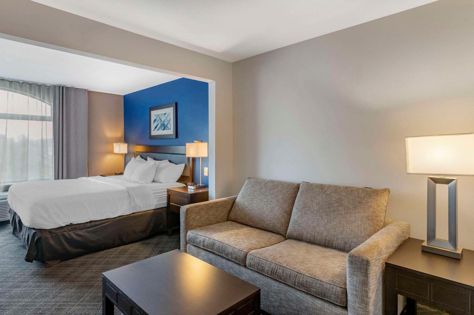 Comfort Inn & Suites Grand Blanc-Flint Exteriér fotografie